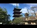 【Playlist 作業用BGM】2026年最新J-POPヒットメドレー 🎧 Mrs. GREEN APPLE, 米津玄師 (J-Pop Best Hits)