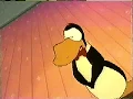 Albatross