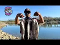 Pardee Lake Trout Fishing Mini Jig Madness