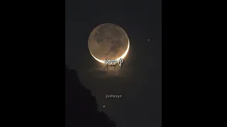 Moral Of The Story Ashe Speed Up 