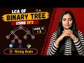 LCA of Binary Tree Lowest Common Ancestor Using DFS Binary Tree DSA Java Python C