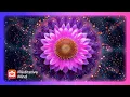 484Hz CROWN CHAKRA Healing Activate Pineal Gland Stop Overthinking