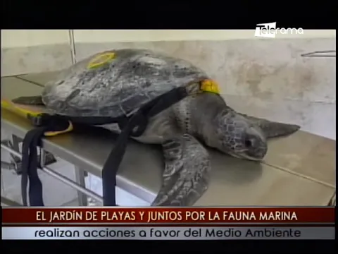 El Jardín de Playas y Juntos por la Fauna Marina realizan acciones a favor del medio ambiente