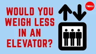 Would you weigh less in an elevator - Carol Hedden