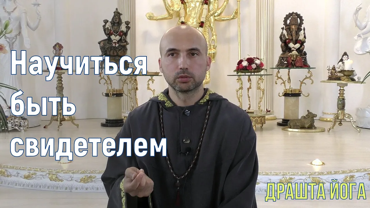 course научиться быть свидетелем image