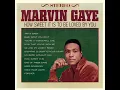 You're A Wonderful One - Marvin Gaye