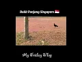 My Friday Vlog 