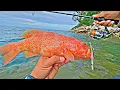 Download Lagu Spot Lama tetap Gacor..!! Mancing Casting Pinggiran, Mancing Ngoyor di Tubiran Karang Dangkal