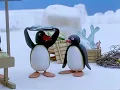 Download Lagu pingu s04e07 pingu has a day off dvdrip xvid