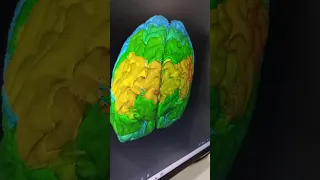                     دندنها