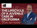 What Happens in a Juvenile Case in California Oakland Juvenile Attorneys