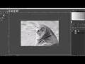 Sharpen an Image With GIMP Two Methods Demonstrated