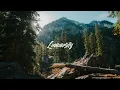 Palace - Live Well