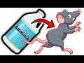 Eliminate Rats for Good Ammonia as Your Secret Weapon
