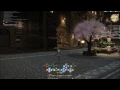 Final Fantasy XIV - The Best Emote Macro Ever