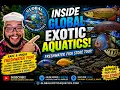 INSIDE Global Exotic Aquatics Rare Cichlids Arowanas Arapaima More 10 OFF Code