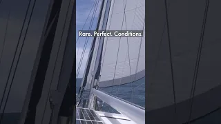 DREAMING!                                                #sailing #shorts #freedom