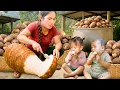 Download Lagu Harvesting 100kg+Giant Taro to Boil for Children and Bring them to the Market to Sell MP3