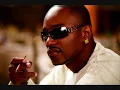 Cam'ron - You Gotta Love It (Jay-Z Diss)