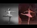 Download Lagu Evolution of Sugarplum over the Years (Mariinsky)