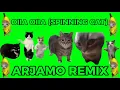Download Lagu W\u0026W - OIIA OIIA (Spinning Cat) - ARJAMO REMIX