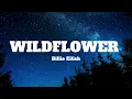 Billie Eilish - WILDFLOWER (Lyrics)