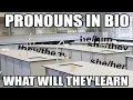 finally pronouns in bio