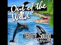 Small Wild Birds in the Morning - Nature Sound Series