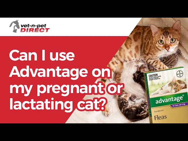 Advantage for Cats & Kittens Up to4kg