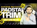 JavaScript Tutorial 22 String Methods P-3 trim padStart and padEnd Web Dev 118