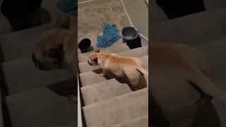 My Fave Tiktoks Pt 44 