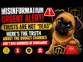 MISINFORMATION ALERT Trusts Are NOT Dead The Truth About The Budget Changes