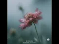 Echoes of Time - Misc.Inc