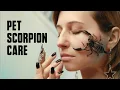 What Do Scorpions Eat - Will Surprise You