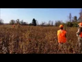 New Jersey Youth Pheasant Hunt Clinton WMA