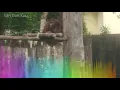 Download Lagu San Dan Kou(thai)
