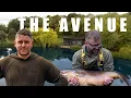 Download Lagu THE AVENUE | Luxury Cabin | RH Fisheries