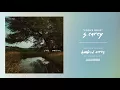 Fool's Gold - S. Carey