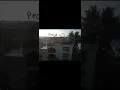 peacock flying away