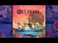 Download Lagu Cut Snake  - Face Down [Audio]
