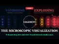 Why Deep Learning Breaks Vanishing Exploding Gradients Explained
