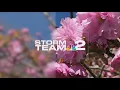 Storm Team 2 weather forecast with Carl Lam