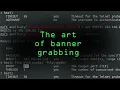 How Hackers Can Steal Information from Computers Using Banner Grabbing
