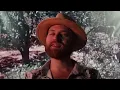 Download Lagu Netherfriends - Weed and Nature