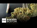 Law enforcement group alleges fraud THC inflation in Mass cannabis industry