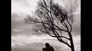 الشعور اللي تجاهك دندنها