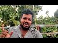 #mammootty #mela #firstlook #reaction #mohanlal #boxofficecollection #iamgame #malayalam #trending