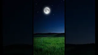 وحرام علي قريه اهلكناها أنهم لا يرجعون للشيخ احمد عبد الرازق نصر دندنها