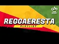 Download Lagu REGGAE EM SERESTA - PLAYLIST 2025 [Prod. Ariel Skinny]