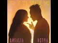 Rosalía Ft Ozuna - Yo x Ti, Tu x Mi [Audio Oficial]